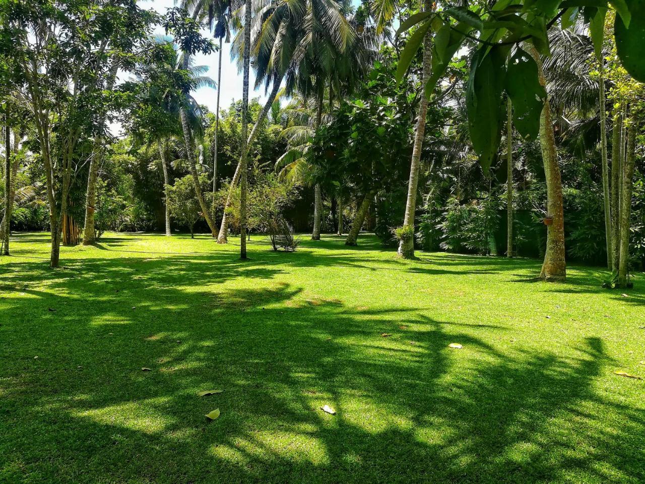 Old Parkland Hostel Ґалле Екстер'єр фото